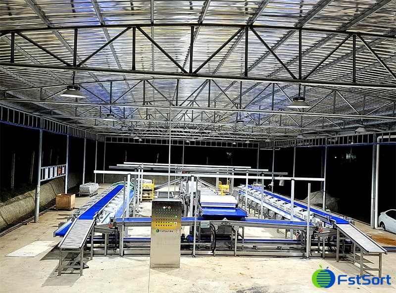 images/1716795203108lychee processing machine.jpg